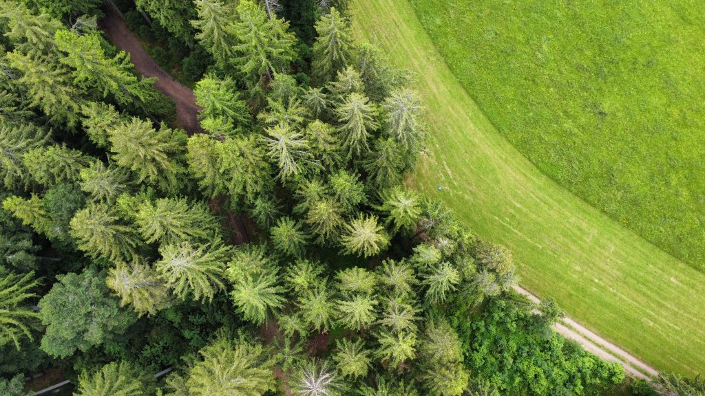 Wanderungen im Schwarzwald